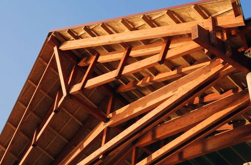 加拿大全票通過(guò)立法 木材作為建筑材料的時(shí)代來(lái)臨